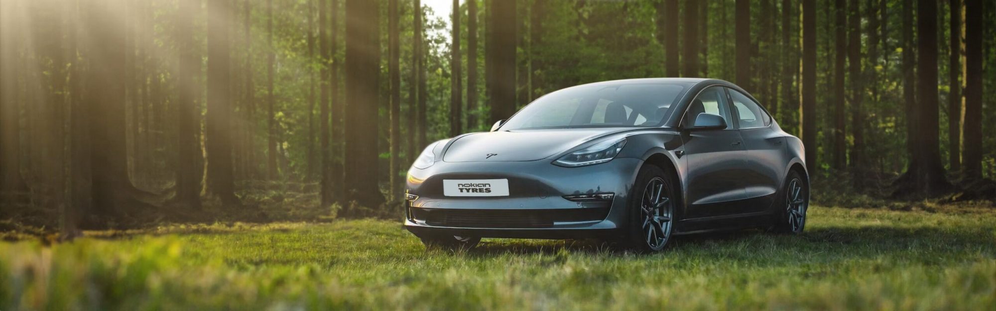 Green Month Teil 2 – Wie unsere Hersteller nachhaltiger werden - Tesla